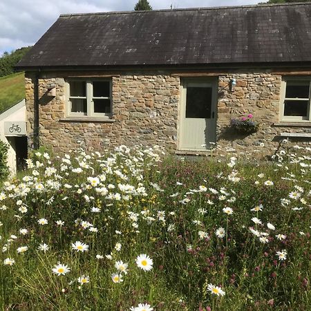 Danygraig Cottage Кармартен Екстер'єр фото
