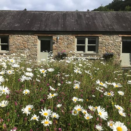 Danygraig Cottage Кармартен Екстер'єр фото