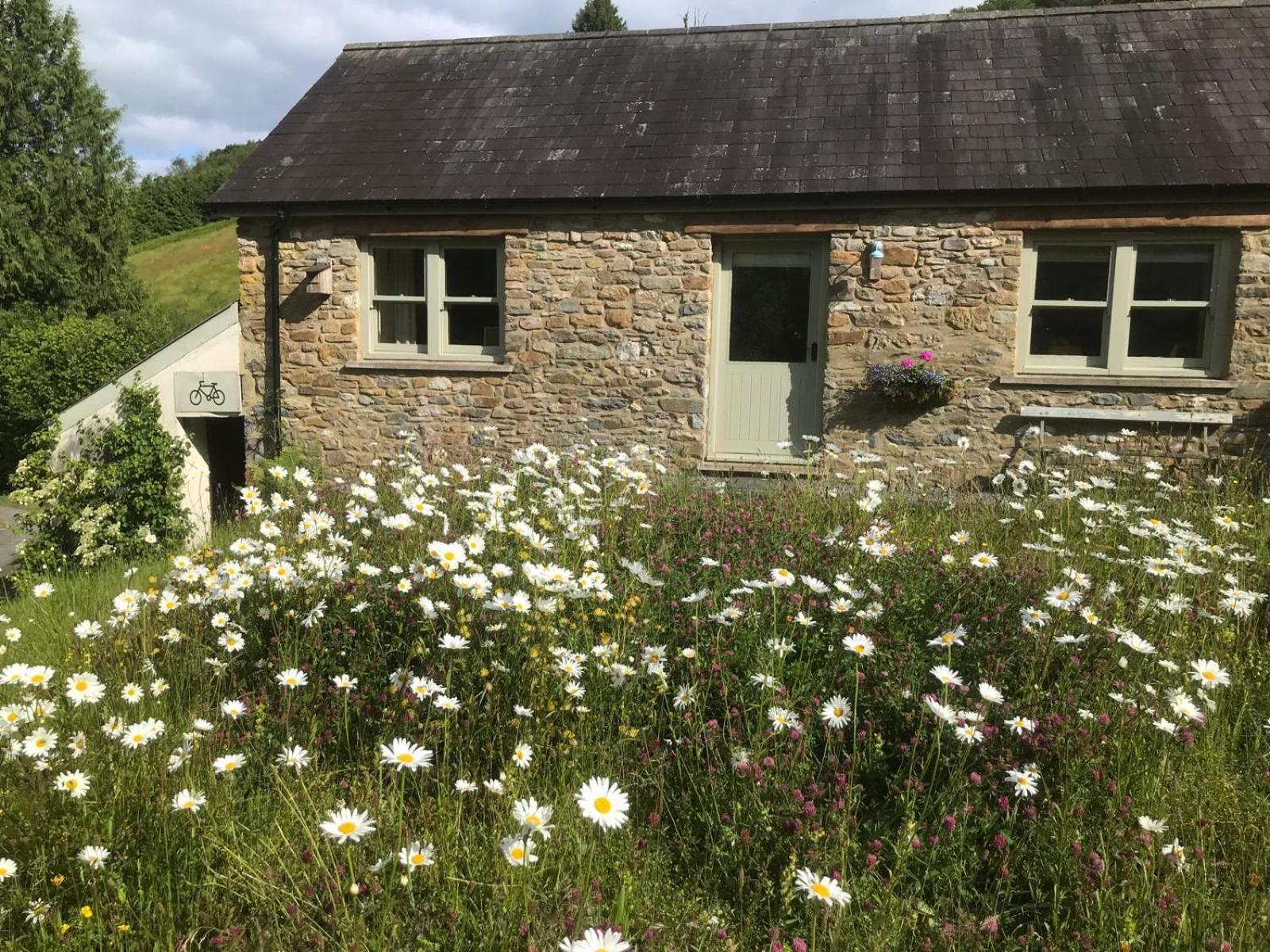Danygraig Cottage Кармартен Екстер'єр фото