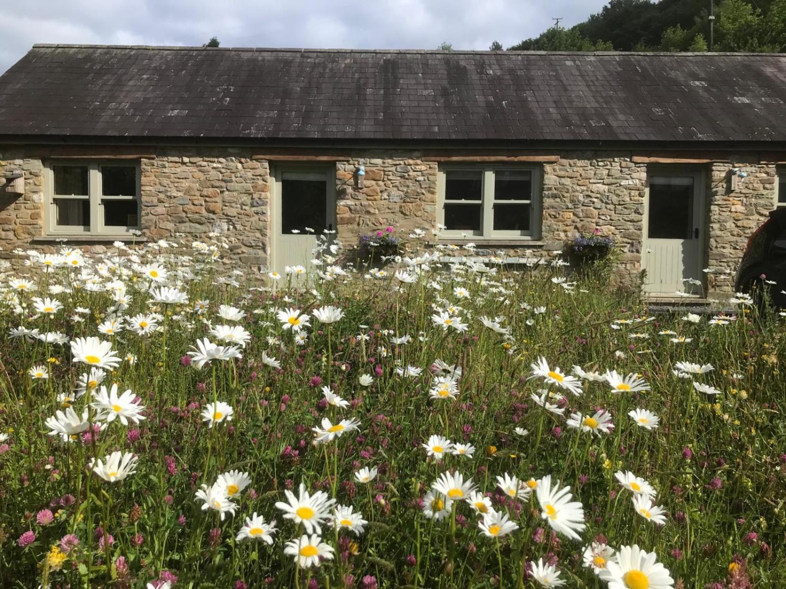 Danygraig Cottage Кармартен Екстер'єр фото