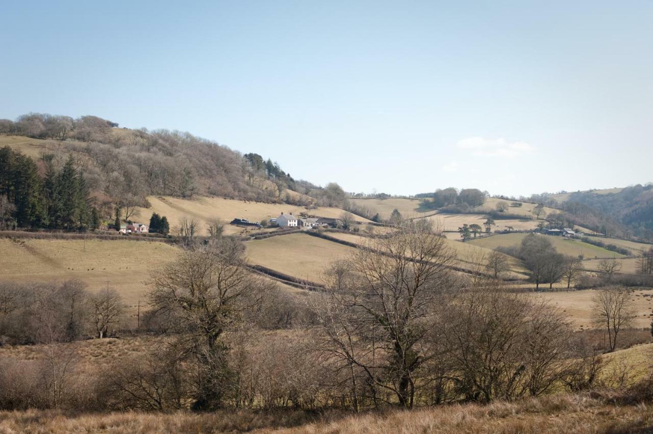 Danygraig Cottage Кармартен Екстер'єр фото