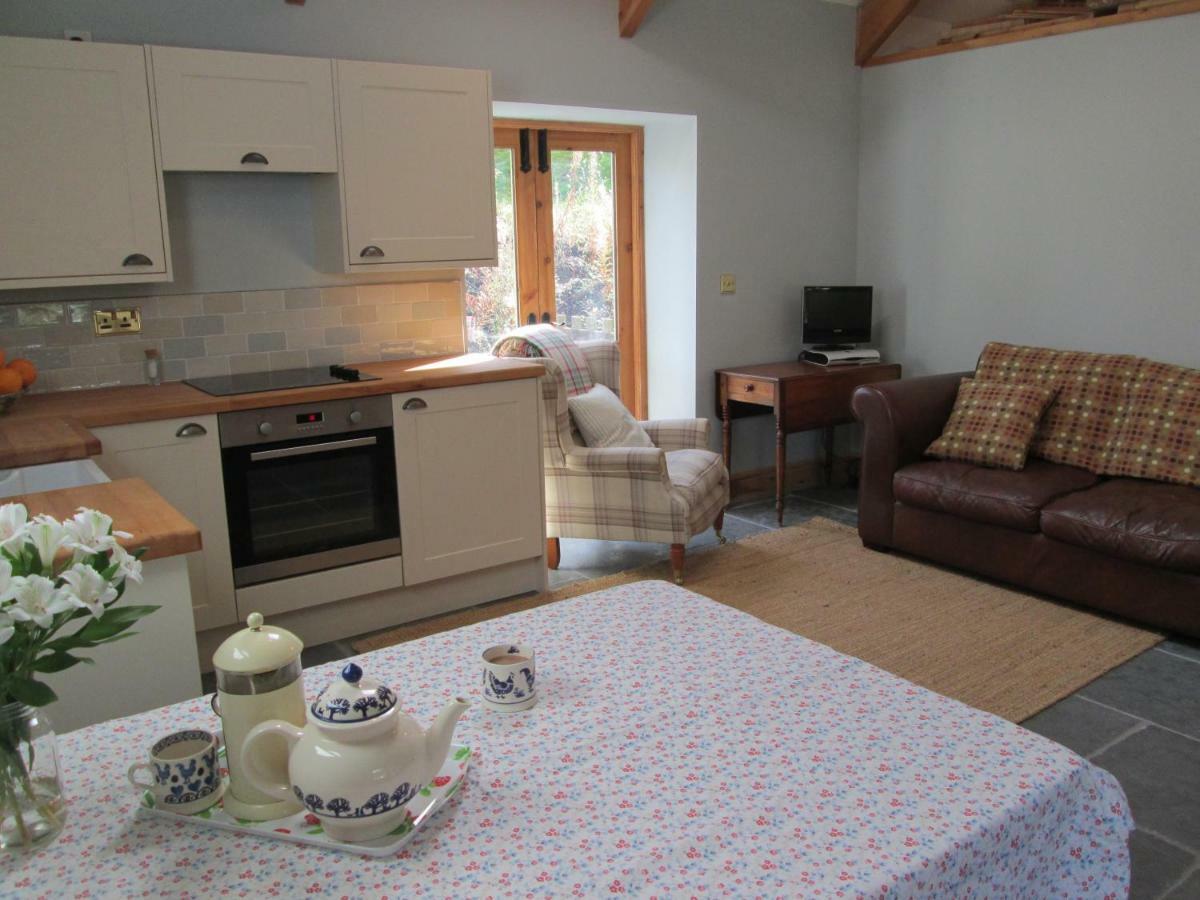 Danygraig Cottage Кармартен Екстер'єр фото