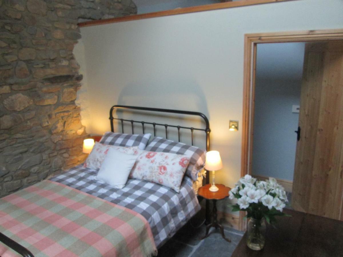 Danygraig Cottage Кармартен Екстер'єр фото